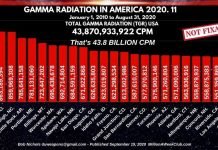 GAMMA RADIATION IN AMERICA 2020.11 Gamma Radiation in America - 2020-11