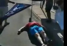 Trumpster in the Dumpster: 350 Pounds of Stacked Shit Takes a Dive (poll blocker decked)