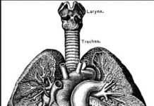 Recovery From COVID-19 Illness May Take Months