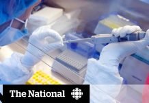 Russia begins mass testing of expedited Covid 19 vaccine