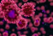 Convalescent Plasma: No Solid Evidence For or Against Its Use for COVID-19