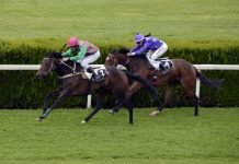 5 Tips on How to Bet on a Winning Horse