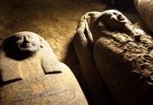 13 Sealed Ancient Egyptian Coffins Found at Saqqara Necropolis