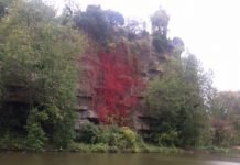 All Dressed Up and No Place to Go in Paris: Steps to Ending Lockdown Parc Buttes Chaumont in Paris
