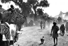 Pakistan’s Missed Opportunities