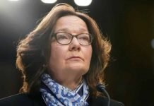 GOP News: Haspel arrested for treason, Flynn hunting Pedo’s, Squadron of pigs buzzes Roswell mother ship