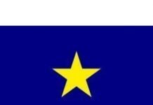 Features to Check Before Buying Republic of Texas Flag