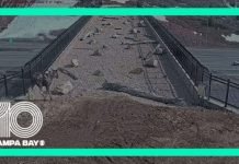Success: Utah’s Wildlife Overpass