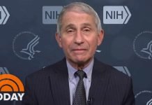 A Day in the life of Dr. Fauci
