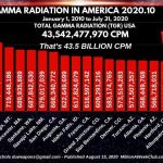 GAMMA RADIATION IN AMERICA 2020-10