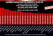 GAMMA RADIATION IN AMERICA 2020-10