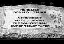 Russia strongly supports cancelling US election to keep puppet Trump in office