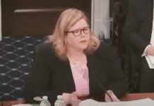 Emily Murphy, A National Disgrace, Corruption, Sex Parties, COVID Deaths (Video)
