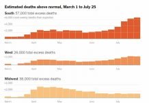 NY Times: True COVID Toll in the US has already Surpassed 200,000 dead