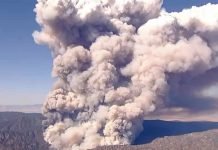 Active Wildfires in Angeles National Forest