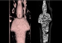 CT Scans Reveal Surprising Contents in Miniature Egyptian Mummies