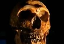 Neanderthals May Have Been Super Sensitive to Pain