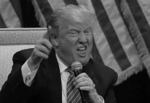 Richard Cook: Psychotic Trump Must Be Stopped Now