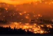 Wildfire Smoke and COVID-19