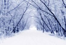 Winter Necessities