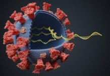 Contract Tracing Is Crucial to Control Spread of SARS-CoV-2