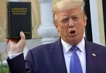 DC National Guard Commander: ‘Trump lied about Lafayette Square protests (and Portland too)