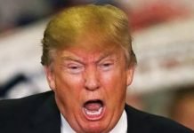 Why Trump Might Quit