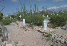 Texas is Toast: Military COVID Planner says Disaster well beyond what is reported (COVICANE)