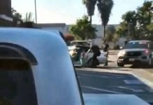 Trump’s Pigs on the Prowl: Watch San Jose Pig Kick Handcuffed Woman (Prison time for both demanded)