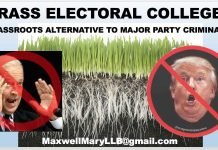 The Grass Electoral College: Ignore the Parties and Choose a President by Using Common Sense
