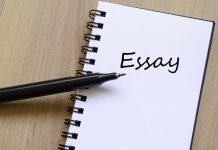 The beginners guide to write an essay- steps and example