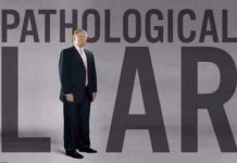 Blockbuster: Chris Wallace ‘Murders’ Trump over Biden Lie on Fox