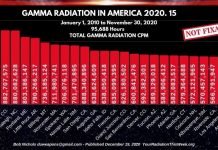GAMMA RADIATION IN AMERICA 2020-15