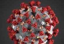Study: Antibody cocktail by Regeneron cuts COVID-19 death risk by 20%