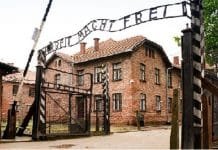 Swindler’s List: Comprehending the Holocaust II (unredacted)