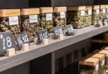 Shop at Legal Weed Dispensaries Online & Still Get High