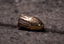 ‘Trail of blood in Germany!’ Ministry releases staggering figures on far-right crime rate