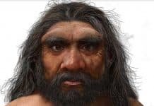 Is ‘Dragon Man’ One of Our Closest Relatives?