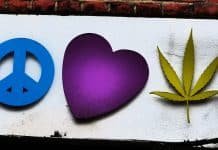 How Is the Local Cannabis Industry Doing in Ontario?