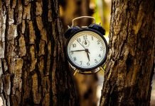 NEO – Russia Closes Syrian Skies for Israel