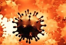 Exclusive: Did US Funded Research Lead to the COVID Pandemic?