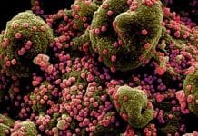 Europe Could Have Been Hit With COVID-19 Earlier Than China, New Study Reveals