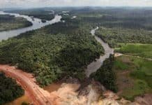 “Green Mafia” book exposes the international environmentalist movement