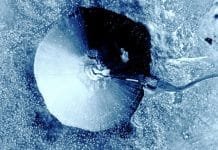 The Light at the End of History: Reacting to Nuclear Impact