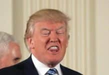 Jail Time for Trump Over the Fake AZ Audit, AP Thinks So