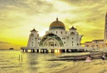 NEO – Brokering Peace in Yemen