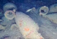 Hmm…Just How Tasty Would Second Century B.C.E Roman Wine Be?