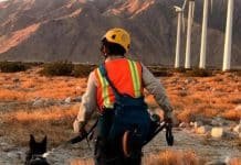 Conservation Canines Are An Asset to Science