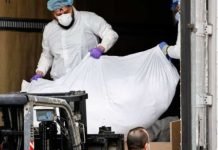Death Comes to Florida, Record One Day Die-Off of the Unvaccinated and Ivermectin Users
