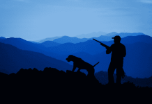Essential Things You Need To Think About Before Hunting At Night